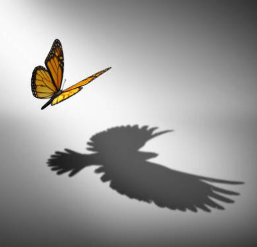 delay fashion clothing brand