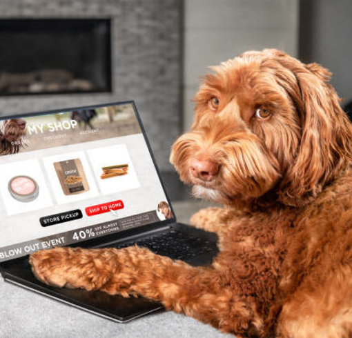 delay fashion clothing brand